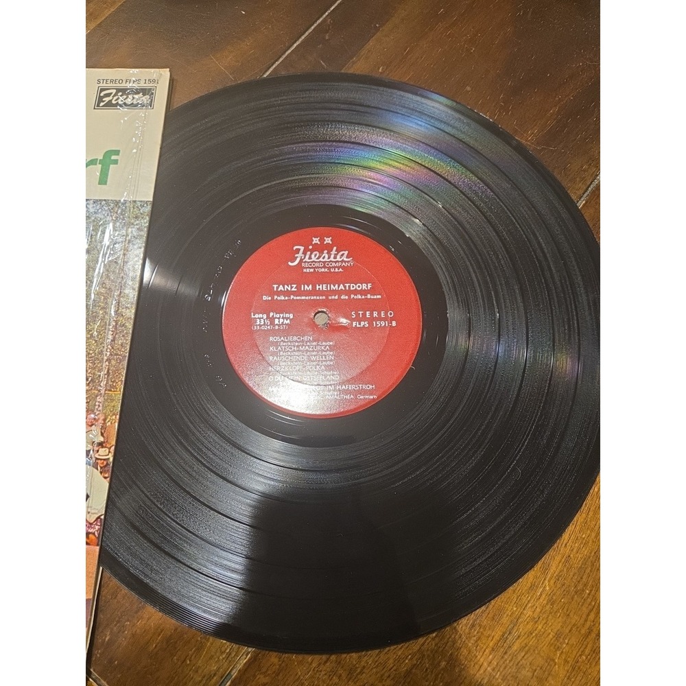 TANZ DER YOUTH: i'm sorry, i'm sorry / delay Radar Records (5) 7" Single 45 RPM - Picture 2 of 2